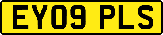 EY09PLS