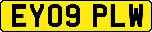 EY09PLW