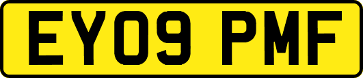 EY09PMF