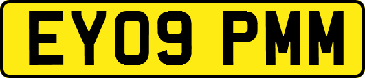 EY09PMM