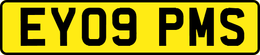 EY09PMS