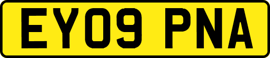 EY09PNA