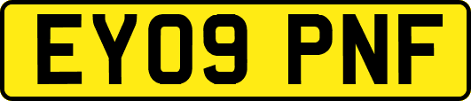 EY09PNF