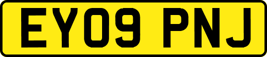 EY09PNJ