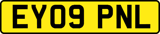 EY09PNL