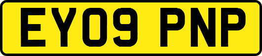 EY09PNP
