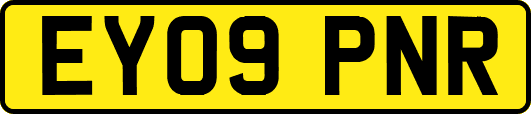 EY09PNR