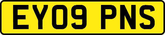 EY09PNS
