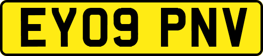 EY09PNV