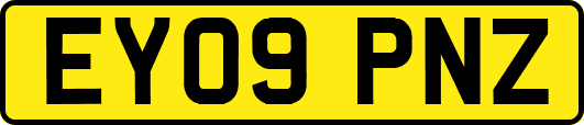 EY09PNZ