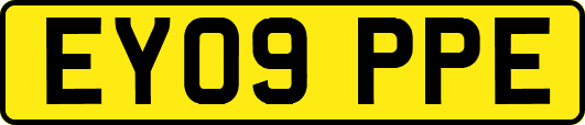 EY09PPE