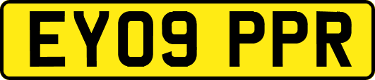 EY09PPR