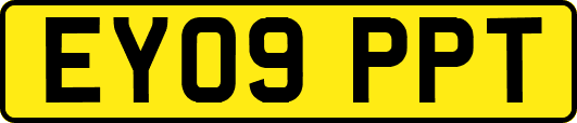 EY09PPT