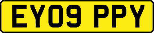 EY09PPY