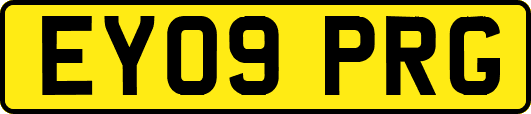 EY09PRG