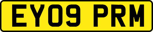 EY09PRM