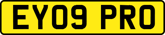 EY09PRO