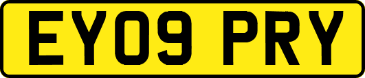 EY09PRY