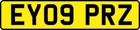 EY09PRZ