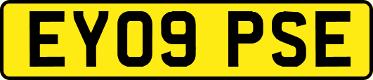 EY09PSE