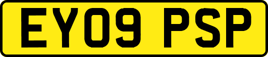 EY09PSP