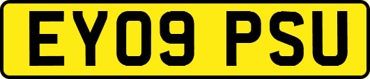 EY09PSU