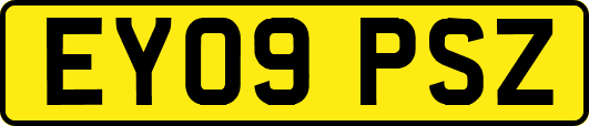 EY09PSZ