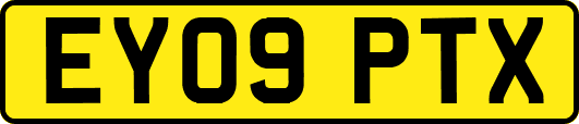 EY09PTX