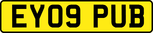 EY09PUB