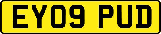 EY09PUD