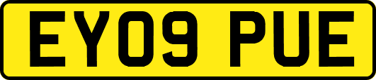 EY09PUE