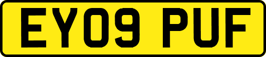 EY09PUF
