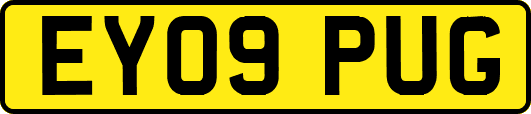 EY09PUG