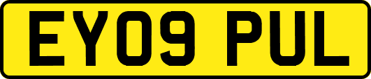 EY09PUL