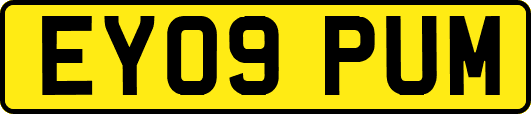 EY09PUM