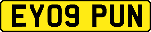 EY09PUN