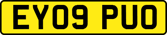 EY09PUO
