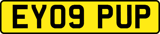 EY09PUP