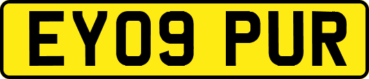 EY09PUR
