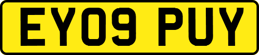 EY09PUY