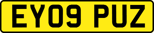 EY09PUZ