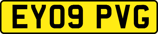 EY09PVG