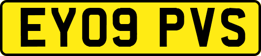 EY09PVS