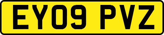 EY09PVZ