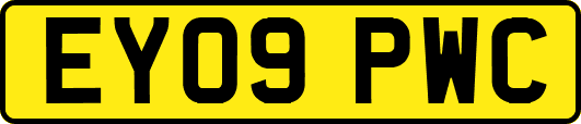 EY09PWC