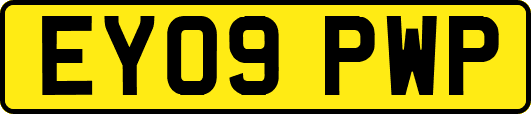 EY09PWP