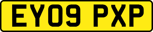 EY09PXP