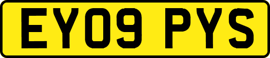EY09PYS