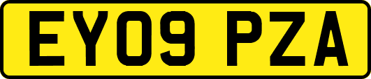 EY09PZA