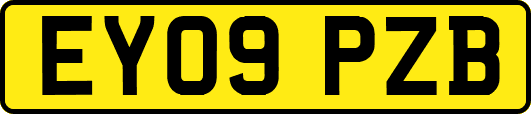 EY09PZB